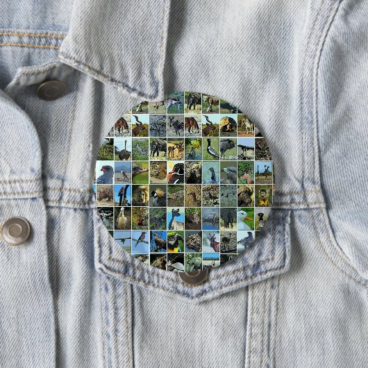 Animals of the world button (Beispiel)