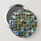 Animals of the world button (Vorne & Hinten)