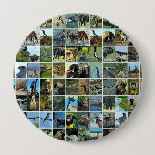 Animals of the world button (Vorderseite)
