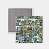 Animals of the world magnet (Vorderseite/Rückseite)