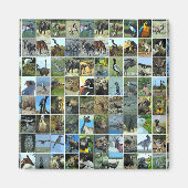 Animals of the world magnet (Vorne)