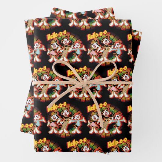 Animaniacs | Hello-o-o Retro Equalizer Graphic Geschenkpapier Set (Beispiel)