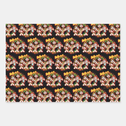 Animaniacs | Hello-o-o Retro Equalizer Graphic Geschenkpapier Set (Vorderseite)