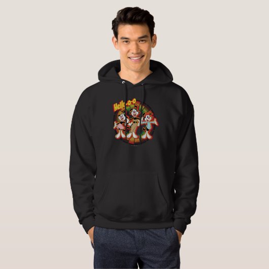 Animaniacs | Hello-o-o Retro Equalizer Graphic Hoodie (Vorne ganz)