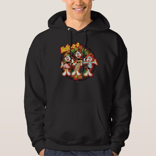 Animaniacs | Hello-o-o Retro Equalizer Graphic Hoodie (Vorderseite)