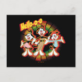 Animaniacs | Hello-o-o Retro Equalizer Graphic Postkarte (Vorderseite)