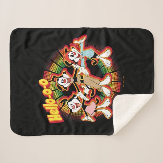 Animaniacs | Hello-o-o Retro Equalizer Graphic Sherpadecke (Vorderseite (Horizontal))