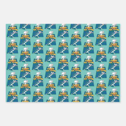 Animaniacs | Pinky und The Brain Cage Graphic Geschenkpapier Set (Vorderseite)