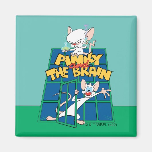 Animaniacs | Pinky und The Brain Cage Graphic Magnet (Vorne)