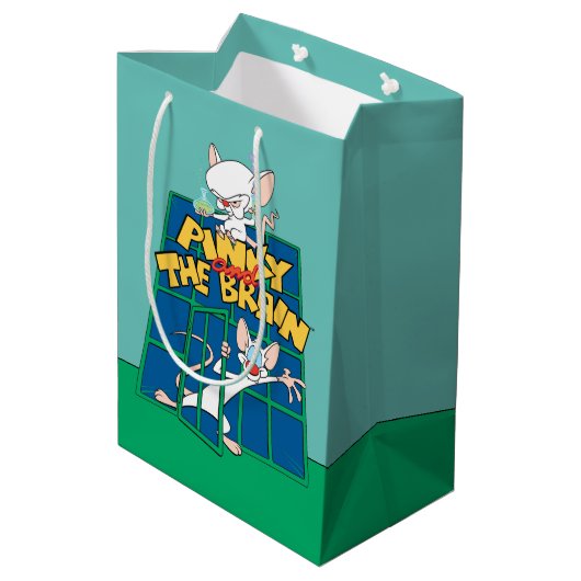 Animaniacs | Pinky und The Brain Cage Graphic Mittlere Geschenktüte (Rückseite Schrägansicht)