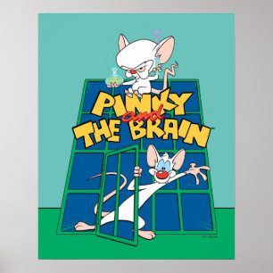 Animaniacs Pinky und The Brain Cage Graphic Poster