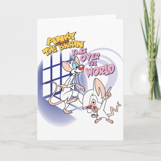 Animaniacs | Übernehmen Sie die Weltgrafik Karte (Vorderseite)