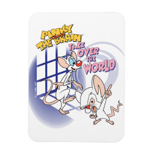 Animaniacs   Übernehmen Sie die Weltgrafik Magnet