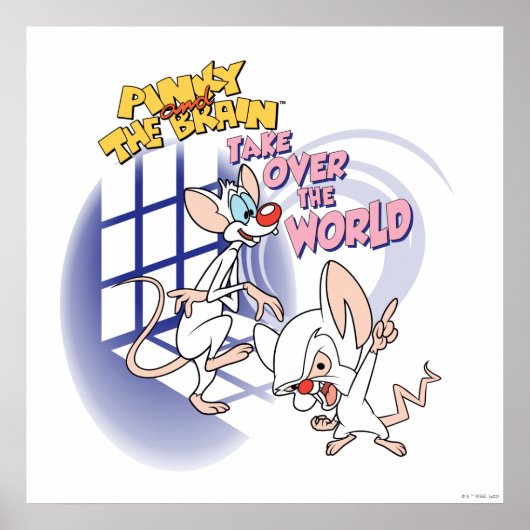 Animaniacs | Übernehmen Sie die Weltgrafik Poster (Vorne)