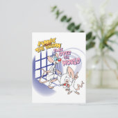 Animaniacs | Übernehmen Sie die Weltgrafik Postkarte (Stehend Vorderseite)