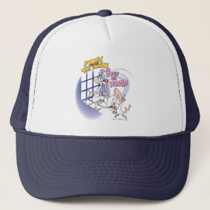 Animaniacs Übernehmen Sie die Weltgrafik Truckerkappe