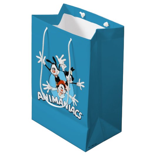 Animaniacs | Warner Siblings Arms Wide Graphic Mittlere Geschenktüte (Vorderseite Schrägansicht)