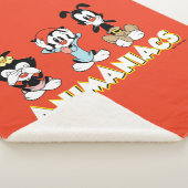 Animaniacs | Warner Siblings "No Evil" Grafik Sherpadecke (3/4)
