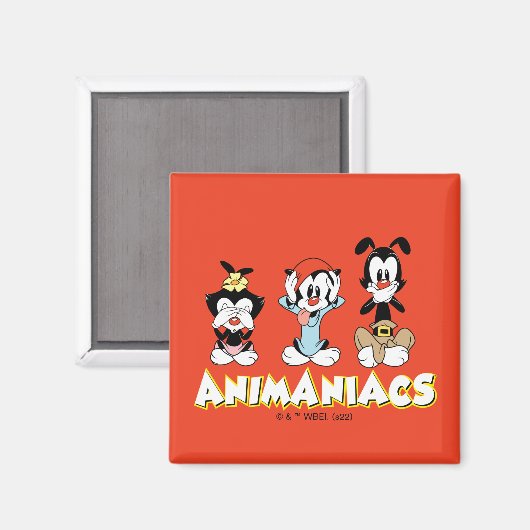 Animaniacs Warner Siblings "No Evil" Graphic Magnet (Vorderseite/Rückseite)