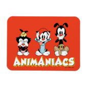 Animaniacs Warner Siblings "No Evil" Graphic Magnet (Horizontal)