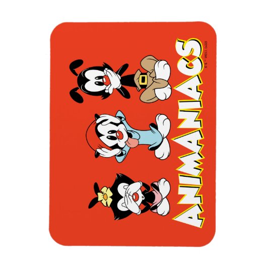 Animaniacs Warner Siblings "No Evil" Graphic Magnet (Vertikal)
