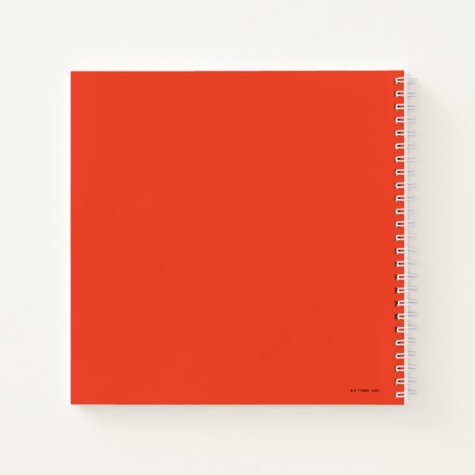 Animaniacs Warner Siblings "No Evil" Graphic Notizblock (Rückseite)