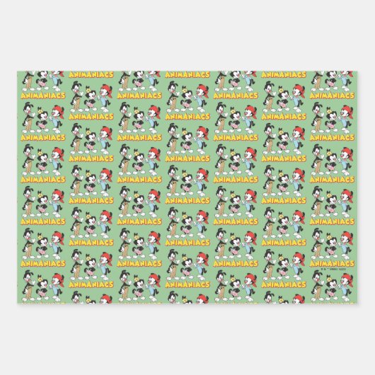 Animaniacs | Yakko, Dot und Wakko Stehend Geschenkpapier Set (Vorderseite 3)