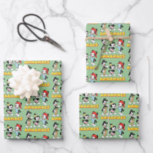 Animaniacs Yakko, Dot und Wakko Stehend Geschenkpapier Set