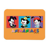 Animaniacs | Yakko, Dot, & Wakko Panel Graphic Magnet (Horizontal)