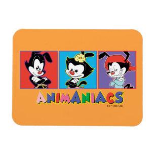 Animaniacs   Yakko, Dot, & Wakko Panel Graphic Magnet