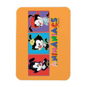 Animaniacs | Yakko, Dot, & Wakko Panel Graphic Magnet (Vertikal)