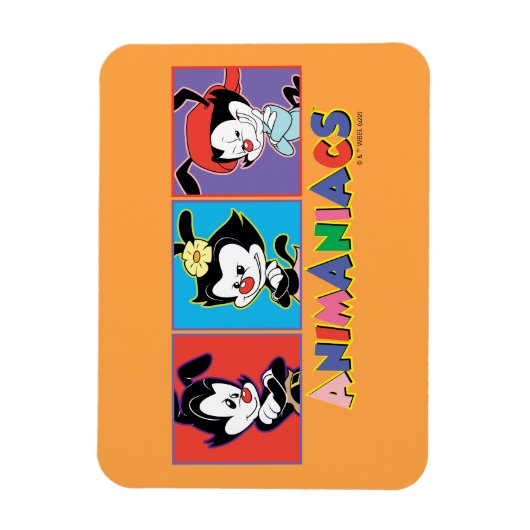 Animaniacs | Yakko, Dot, & Wakko Panel Graphic Magnet (Vertikal)