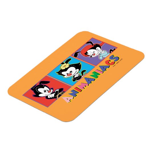 Animaniacs | Yakko, Dot, & Wakko Panel Graphic Magnet (Linke Seite)