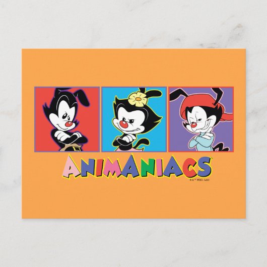 Animaniacs Yakko, | Dot, & Wakko Panel Graphic Postkarte (Vorderseite)