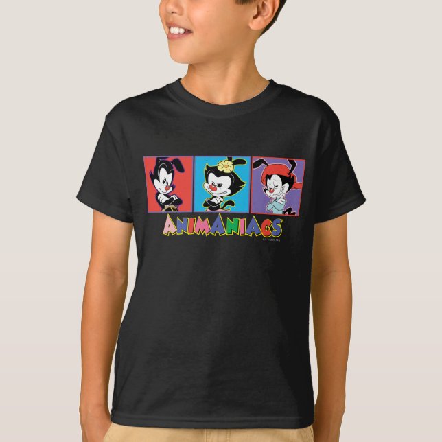 Animaniacs | Yakko, Dot, & Wakko Panel Graphic T-Shirt (Vorderseite)