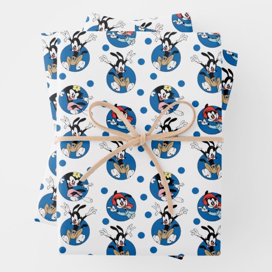 Animaniacs | Yakko, Wakko & Dot Circle Pattern Geschenkpapier Set (Beispiel)