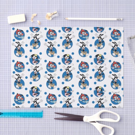 Animaniacs | Yakko, Wakko & Dot Circle Pattern Seidenpapier (Handwerk)