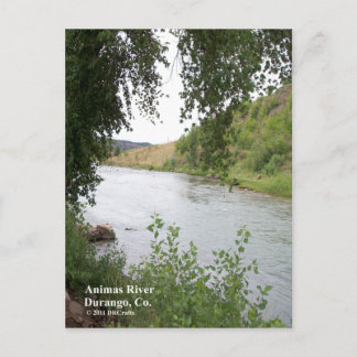 Animas River Postkarte
