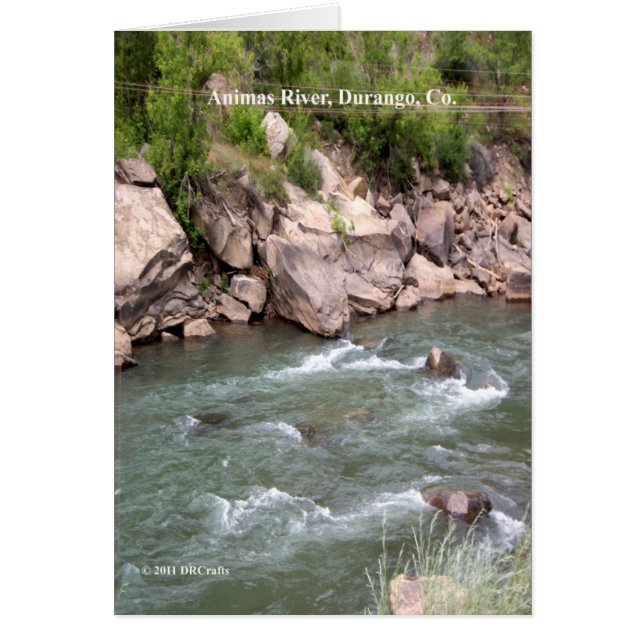 Animas River Rapids (Vorne)