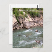 Animas River Rapids Postkarte (Vorne/Hinten)