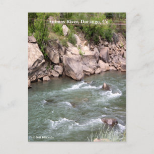 Animas River Rapids Postkarte