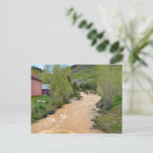 Animas River, Silverton, Colorado Postkarte (Stehend Vorderseite)