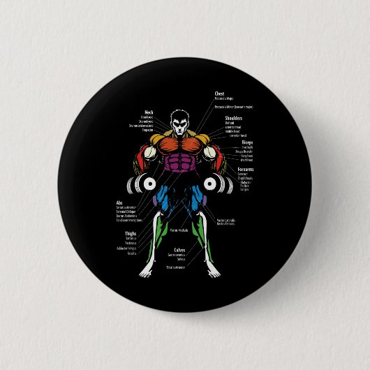 Anime Anatomie Muskel Diagramm Button (Vorderseite)
