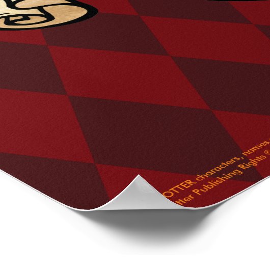 Anime Hermione Granger Poster (Ecke)