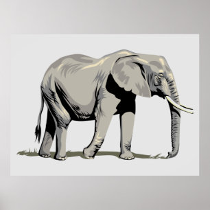 Animierter Elefant Poster