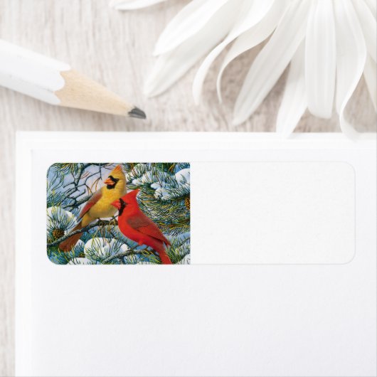 Animierter Kardinal (Insitu)