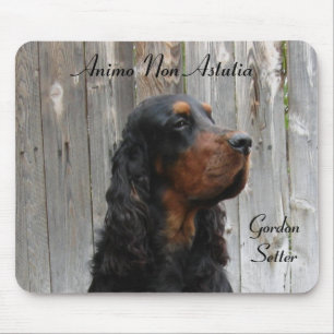 Animo Non Astutia, Gordon Setter Mauspad