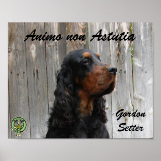 Animo non Astutia, Gordon Setter Poster