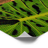 Anini Beach, Kauai Hawaiian Collage Poster (Ecke)