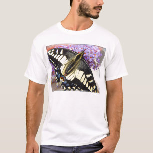 Anis-Frackschmetterling - der T - Shirt der Männe